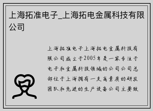 上海拓准电子_上海拓电金属科技有限公司